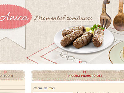 thumbnail of anica.be website