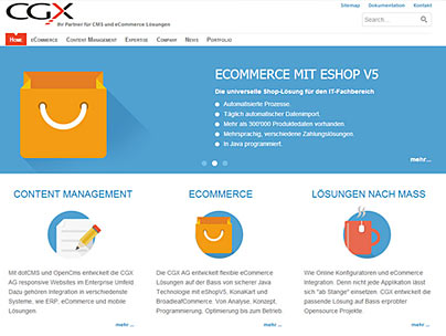 thumbnail of cgx.ch website