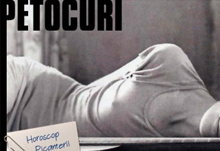 thumbnail of petocuri.ro website