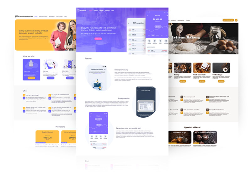 Small Bussiness Websites package design variants